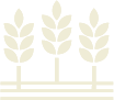 planta1