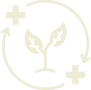 planta4